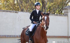 亚洲精品成人无码A片在线